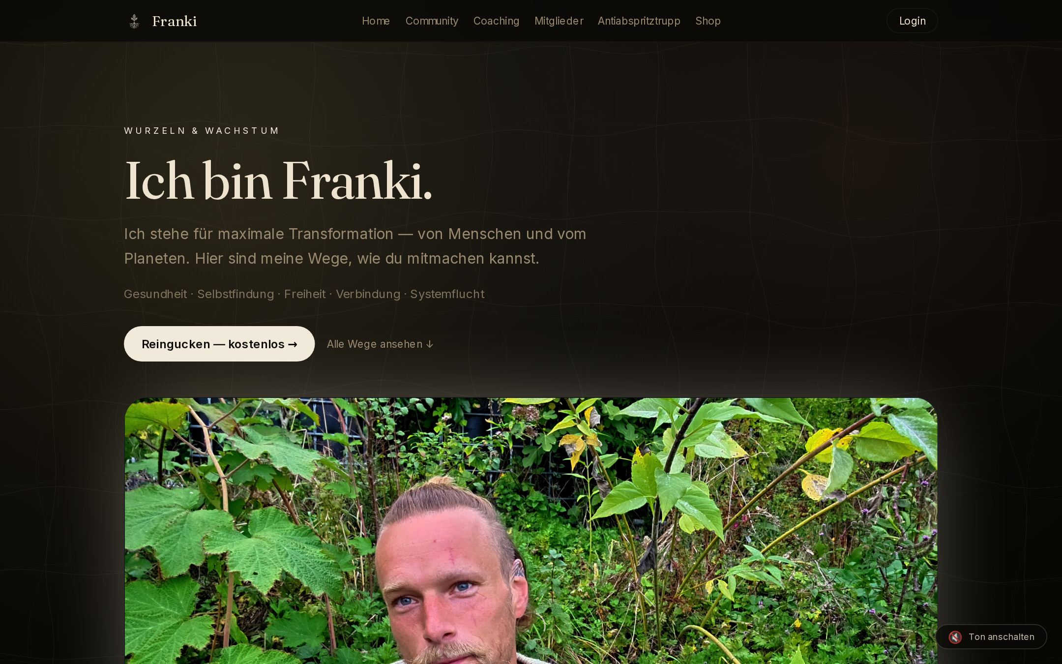 Frank Lieber Website